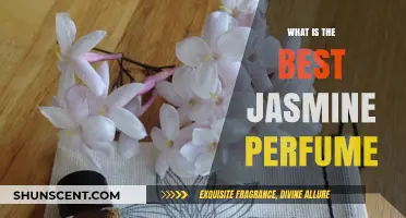 Jasmine Perfumes: The Best Scents for You