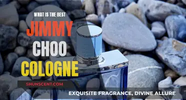 The Alluring Scents of Jimmy Choo's Best Colognes