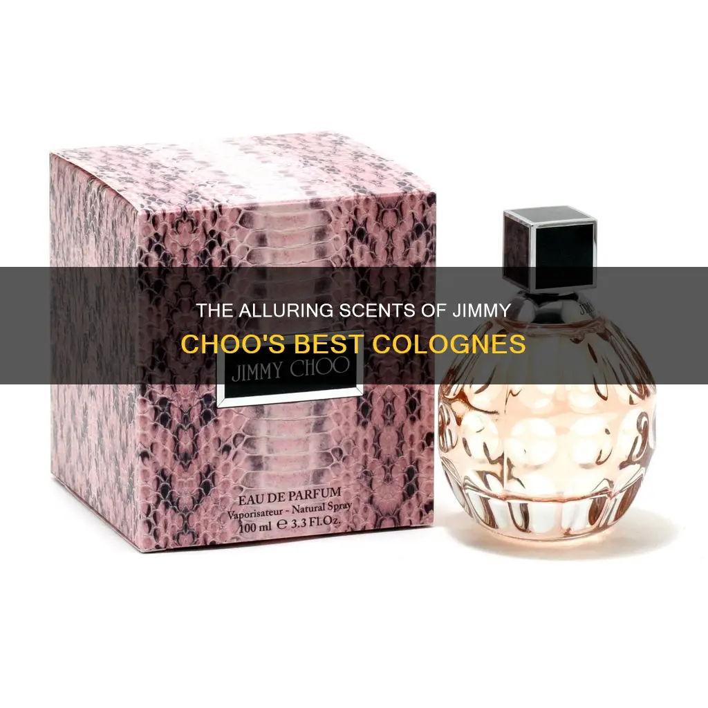 what is the best jimmy choo cologne