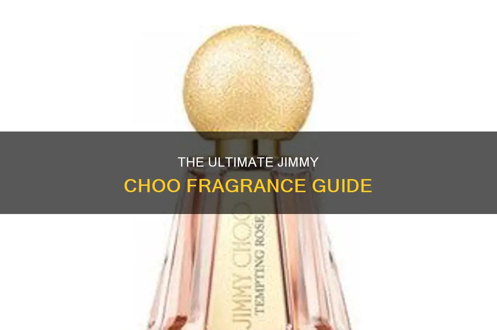 what is the best jimmy choo perfume