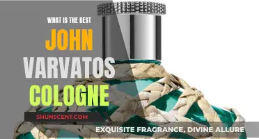 John Varvatos Colognes: Which One Suits You Best?