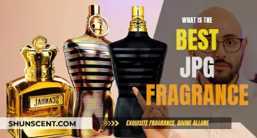 JPG Fragrances: Which Scents are the Best?