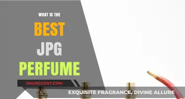 JPG Perfumes: The Best Scents for You