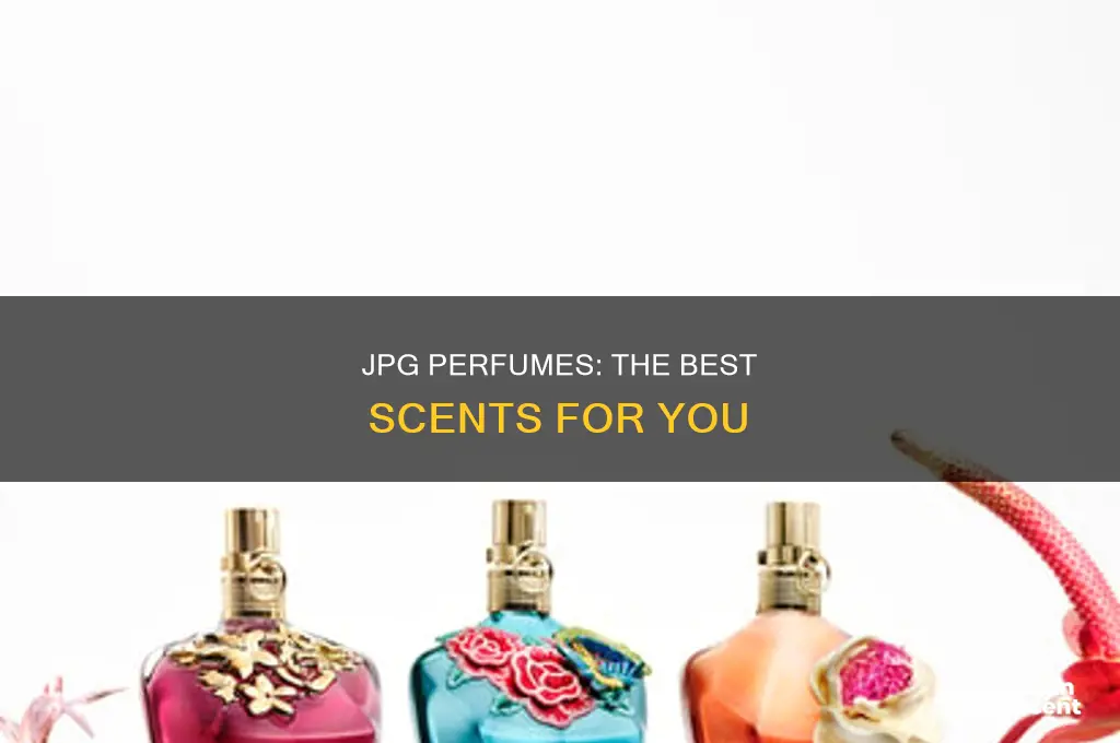 what is the best jpg perfume