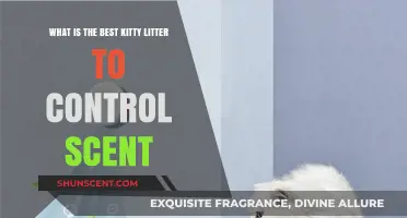 Top Scent-Controlling Kitty Litter Options for Fresh-Smelling Homes