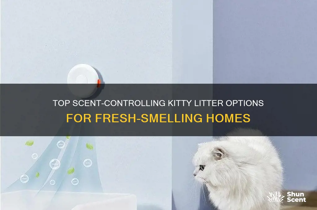 what is the best kitty litter to control scent