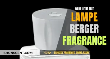 Lampe Berger: Discovering the Best Fragrances for Your Lamp