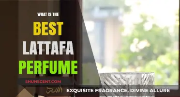 Lattafa Perfumes: Discover the Best Scents