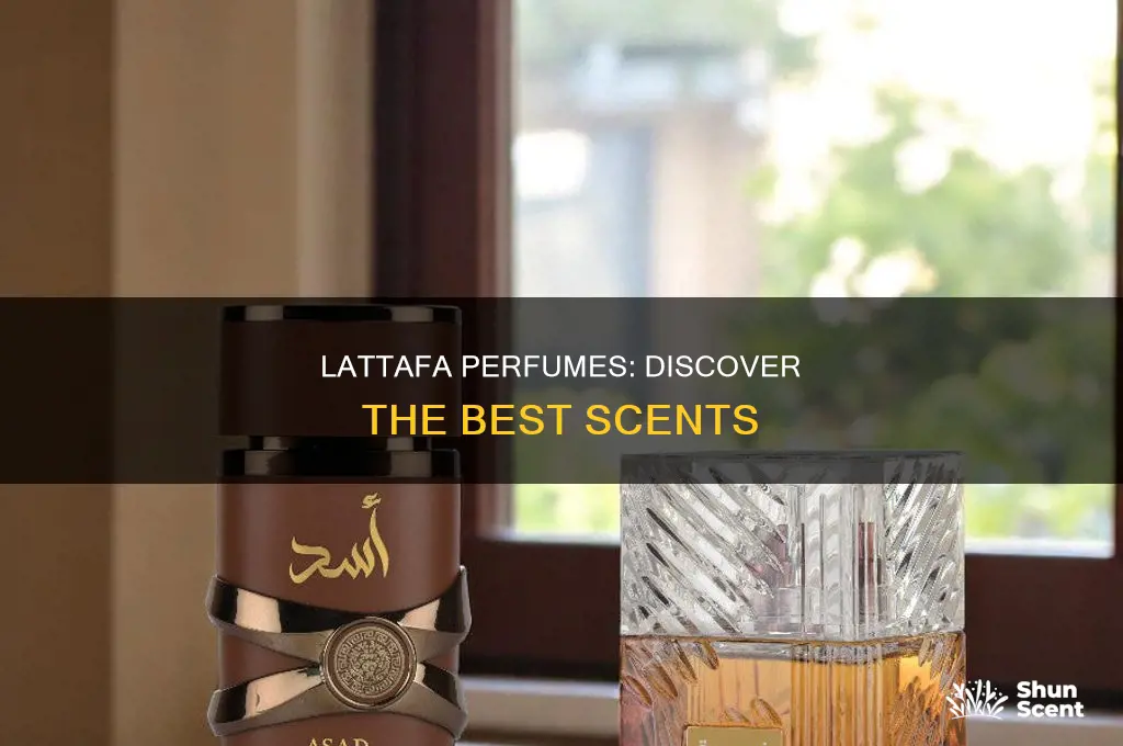 what is the best lattafa perfume