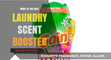 Discover the Best Laundry Scent Booster for Fresh, Long-Lasting Fragrance