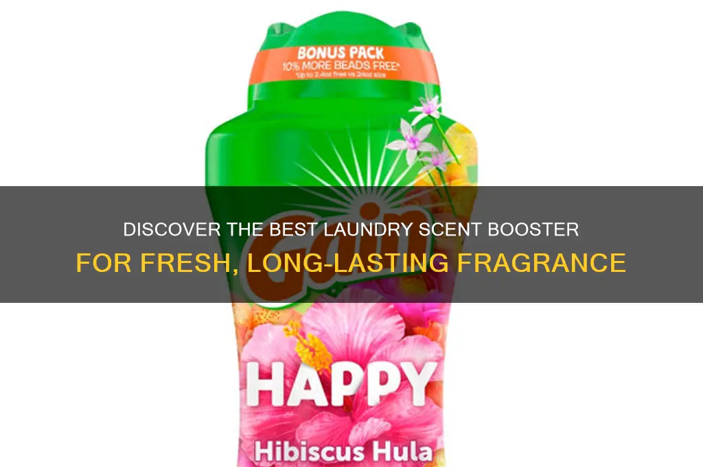 what is the best laundry scent booster