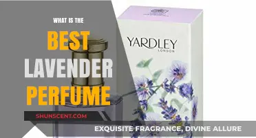 Lavender Scents: The Best Perfumes for You