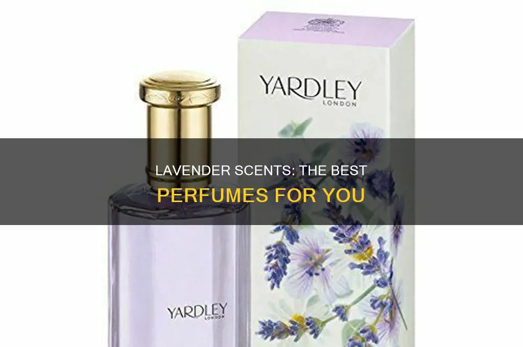 what is the best lavender perfume