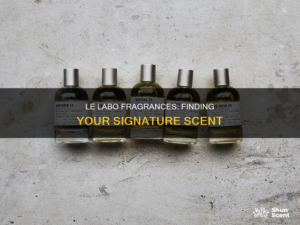 what is the best le labo fragrance