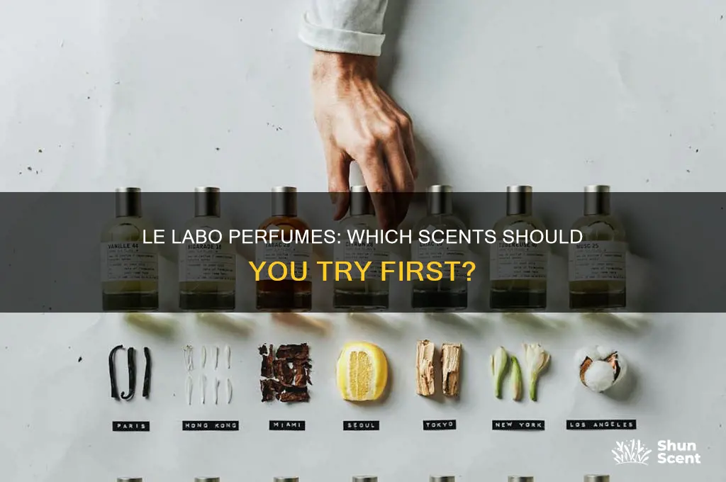 what is the best le labo perfume