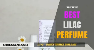 The Best Lilac Perfumes for a Fragrant Spring