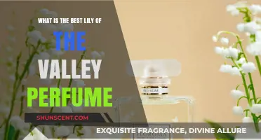 Lily of the Valley: The Best Perfumes