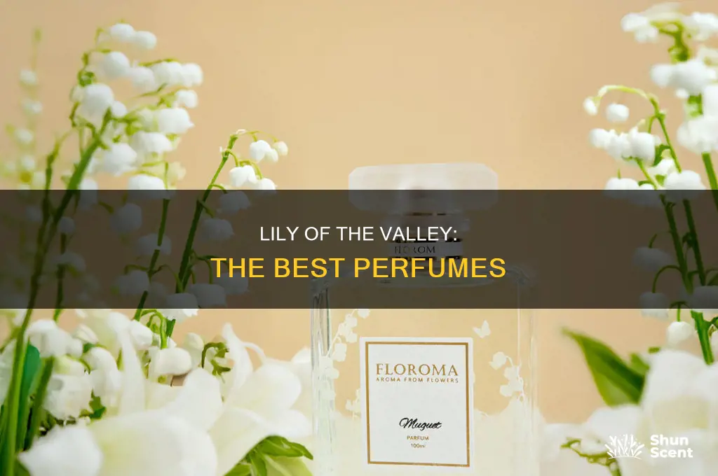 what is the best lily of the valley perfume