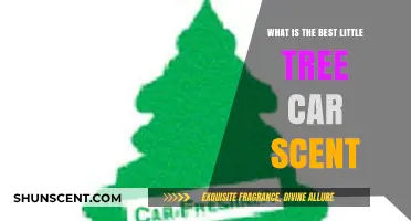 Discover the Perfect Little Tree Car Scent for Freshness