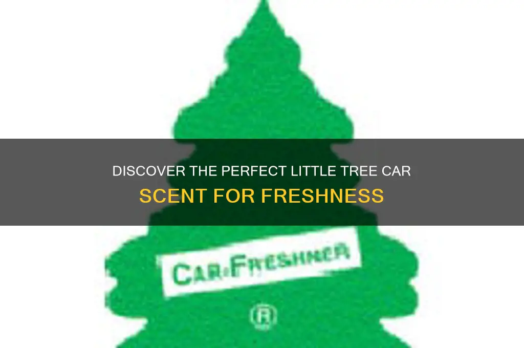 what is the best little tree car scent