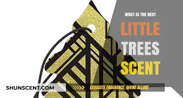 Discover the Most Refreshing Little Trees Scent for Your Car