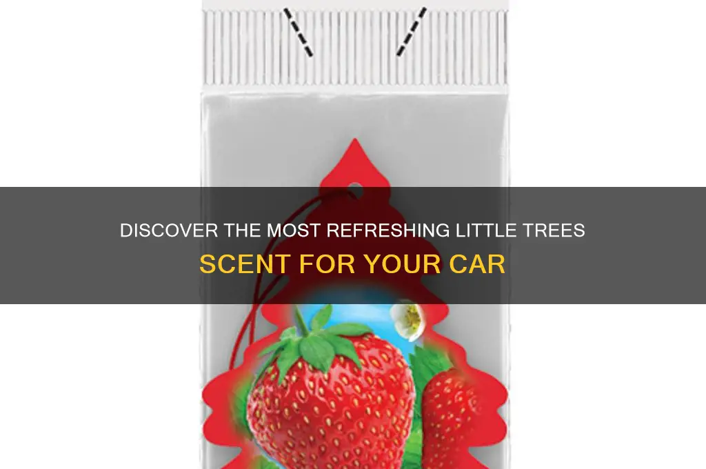 what is the best little trees scent