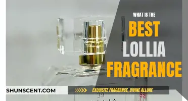 Lollia Fragrance: Which Scents Should You Choose?