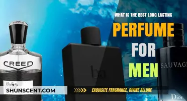 Top Long-Lasting Men's Fragrances for 2023