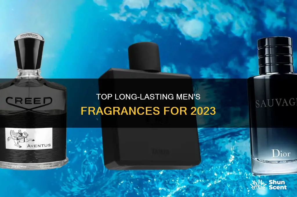 what is the best long lasting perfume for men