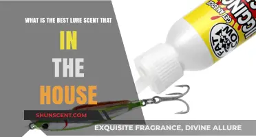 Top House-Friendly Lure Scents for Effective Indoor Fishing Success