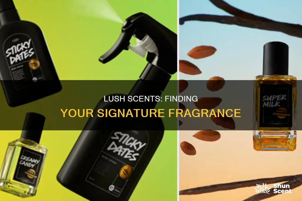 what is the best lush perfume