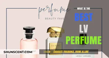 LV Perfumes: Which Scents are the Best?