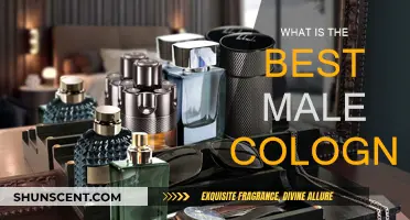 Top Colognes for Men: Pick Your Signature Scent