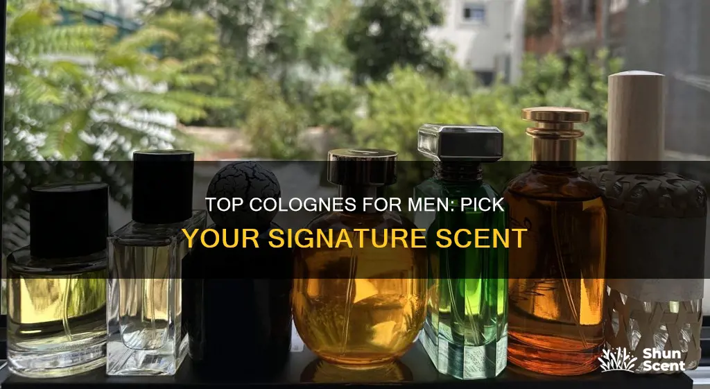 what is the best male cologne