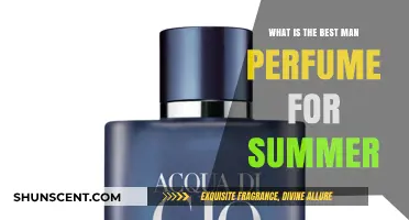 Summer Scents: Best Perfumes for Men