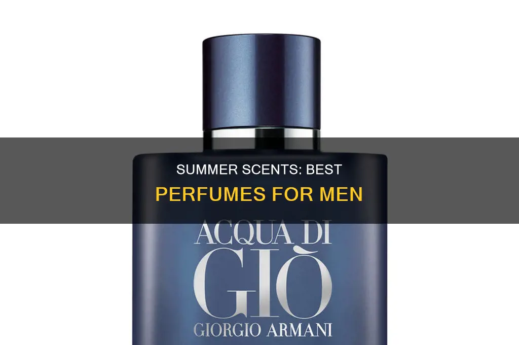 what is the best man perfume for summer