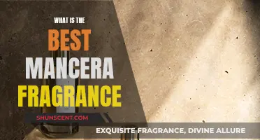 Mancera Fragrance: Discover the Best Scents for You