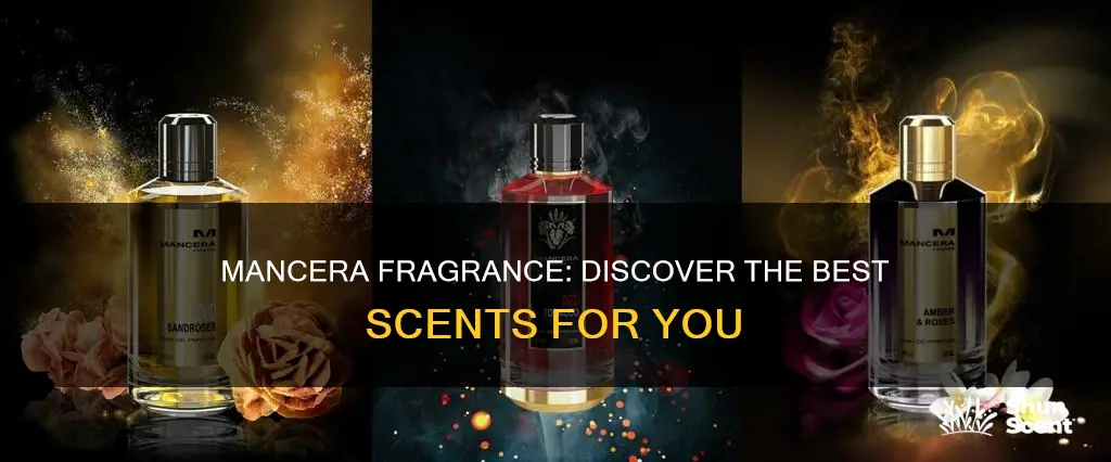 what is the best mancera fragrance