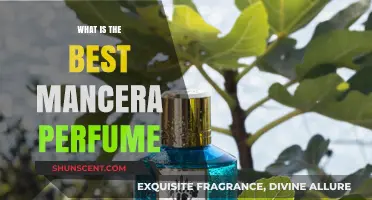 Mancera Perfumes: Discover the Best Scents for You