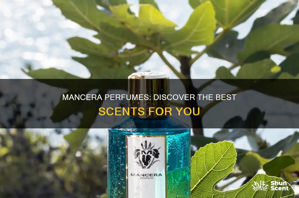 what is the best mancera perfume