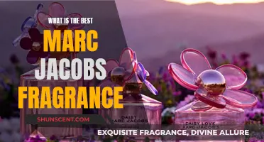 The Ultimate Marc Jacobs Fragrance Guide