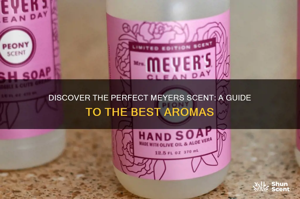 what is the best meyers scent