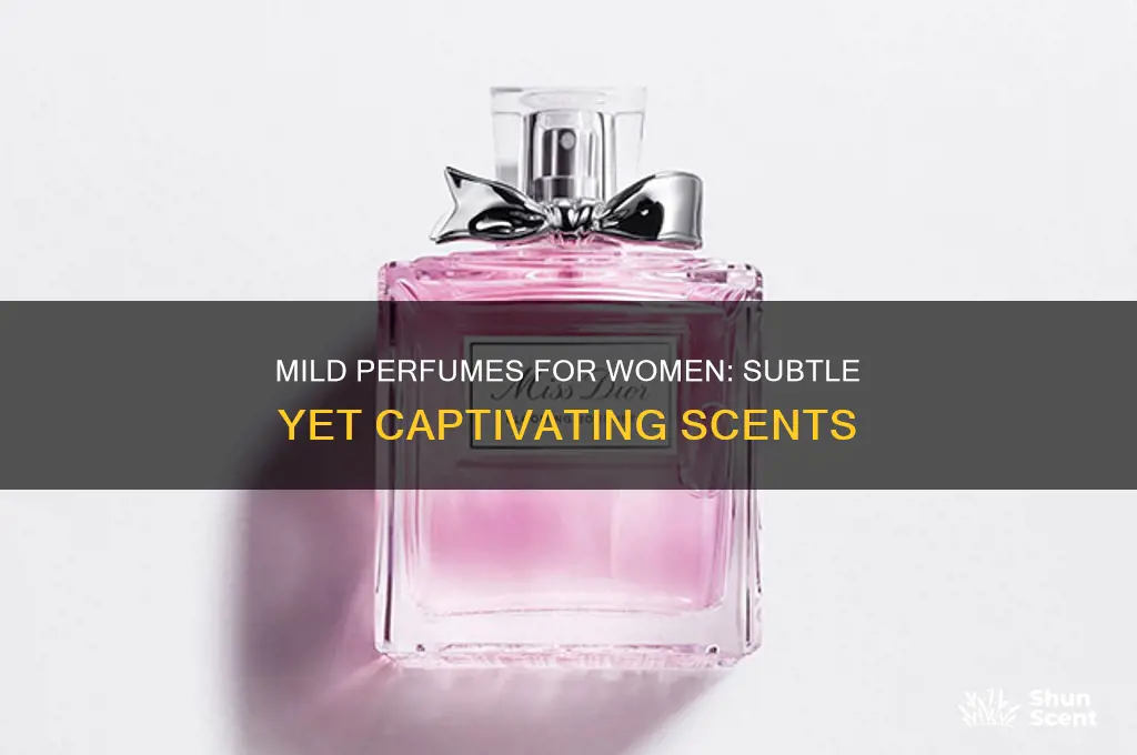 what is the best mild perfume for ladies