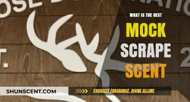 Top Mock Scrape Scents for Deer Hunting Success: Expert Picks