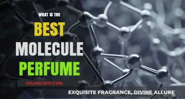 Molecule Perfume: The Science of Scents