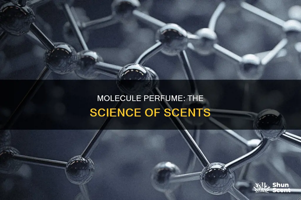 what is the best molecule perfume