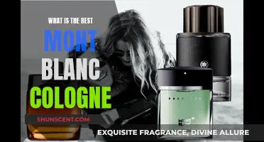 Best Mont Blanc Colognes: Finding Your Signature Scent