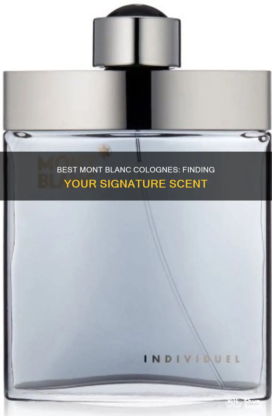 what is the best mont blanc cologne