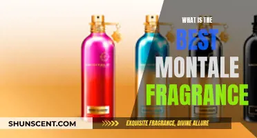 Montale Fragrance: Discovering the Best Scents