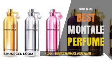 Montale Perfumes: Discover the Best Scents